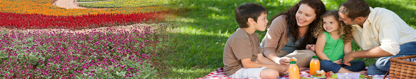 江西花花世界旅游有限公司