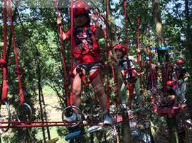 树上探险-脚踏飞燕