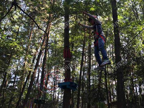 树上探险-天使之手