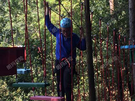 树上探险-天梯桥