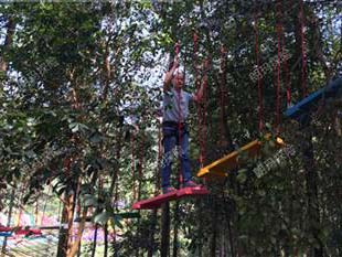 树上探险-卵石涌动